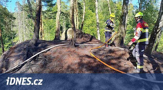 Çek İsviçre'de her gün şömineyi tasfiye ederler, giriş yasağını ilan ederler