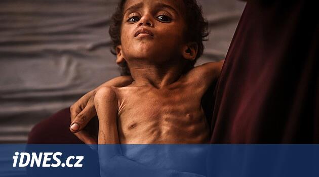 Hannover přijme děti z Gazy, oznámila místní židovská obec i palestinská komunita