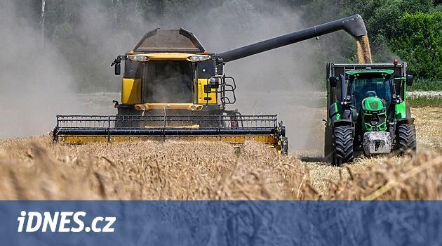 Po dobré sklizni přišly špatné ceny, situace je pro zemědělce frustrující