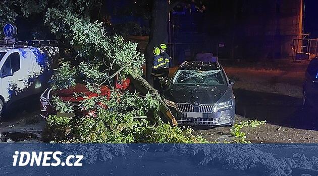 Pardubice'de büyük bir şubenin düşüşü iki arabaya zarar verdi