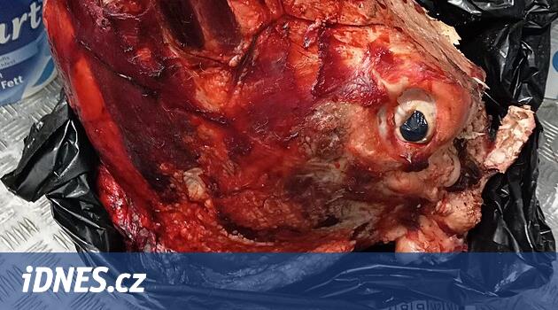 Zabavili hovězí hlavu i s očima. Uzbecké restauraci v Praze hrozí pokuta 50 milionů