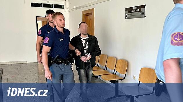 Teplice'de küçük bir oğlunun ve babanın öldürülmesi için ömür boyu ceza, fail gözaltına alacak