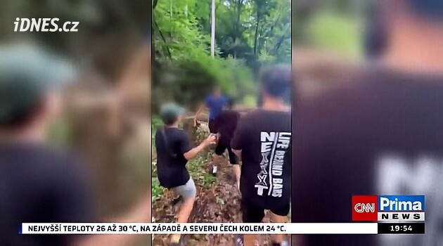Školačka vylákala muže do lesa, pak ho zbili její kamarádi. Policie stíhá mladistvého