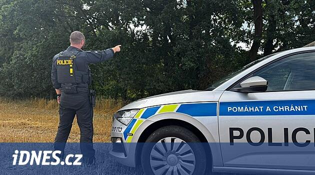 Strakonice yakınlarındaki Skvořetice'deki yetiştiriciler boğadan kaçtı, sonra kendini geri döndürdü