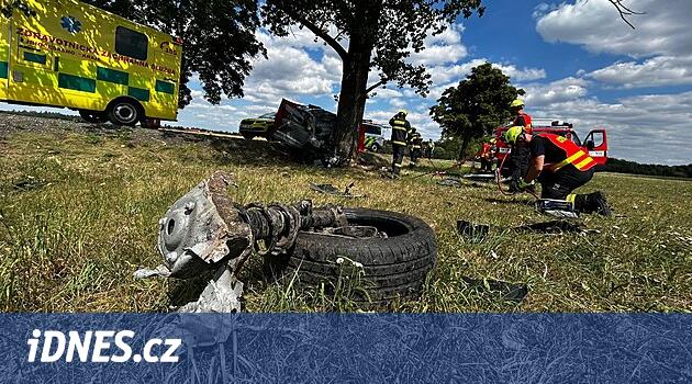 Tábor bölgesindeki sürücü, ağaca çarptıktan sonra öldü