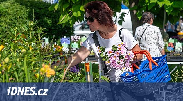 Moravská zahrádkářská velmoc. Věžky párkrát do roka nabobtnají o tisíce lidí