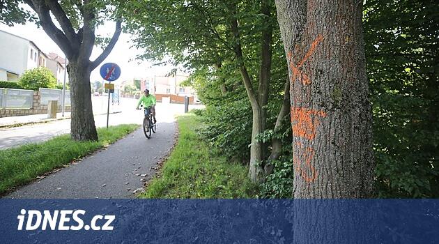 Jihlava'da şube bisiklet yoluna düşüyor, kadın dikkat çekti