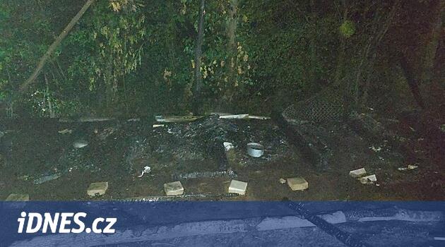 Kundakçı, žlutice'deki köpeklerin üreme istasyonunu yaktı, orospu yaktı