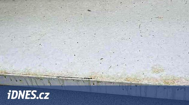 Pilsen'deki evin sakinleri umutsuz. İdrar penceresinden dökülen komşular