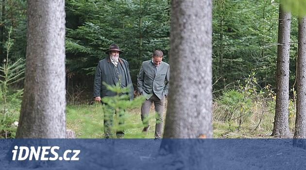 Jihlava bölgesindeki ormanlar kabuk böceği felaketinde yavaş yavaş iyileşiyor