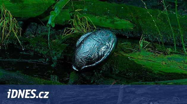 Roudnice'deki sergi, suyun sırlarını ortaya koyuyor