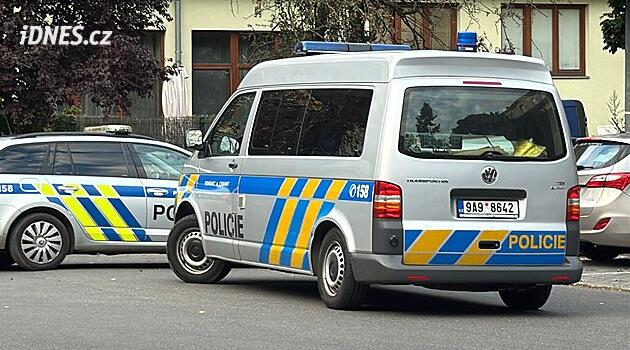 Osmnáct let za ubodání stařenky, znalkyně zpochybnily schizofrenii obžalovaného