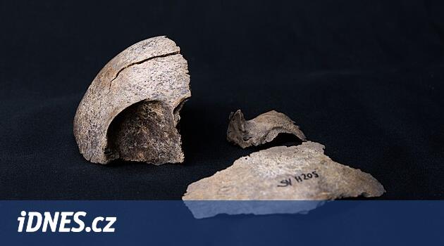 Slavların Kökeni: Ukrayna'dan geldiler, yeni DNA araştırmalarını kanıtlıyor