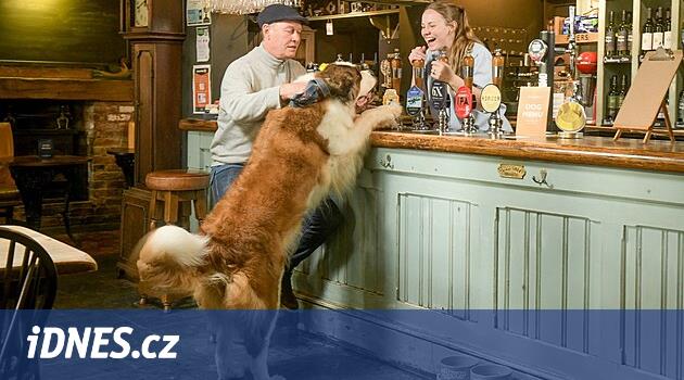 İngiltere'deki köpeklere en iyi pub dostu: Fairhaven