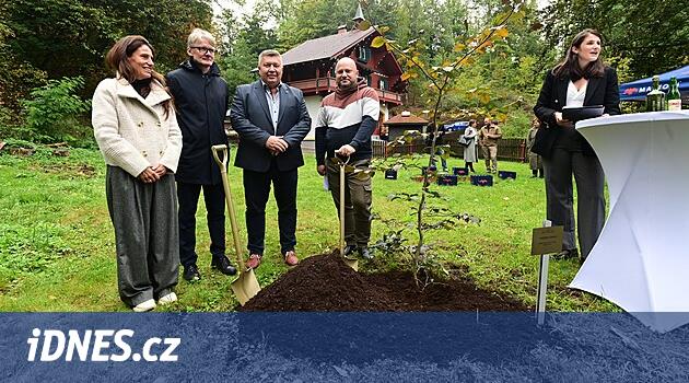 Heinrich Mattoni'nin referansı yeni ağacı hatırlatıyor