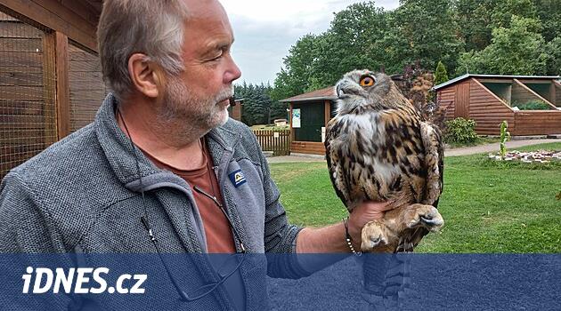 Nest'teki kameralar sevinç ve tehdit taşıyor