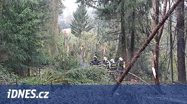 Parkhotel sahibi Richmond, Balková yakınlarındaki yıkık uçakta öldü