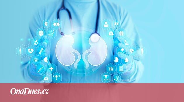 Ženská urologie už dávno není tabu. Co trápí ženy nejčastěji?