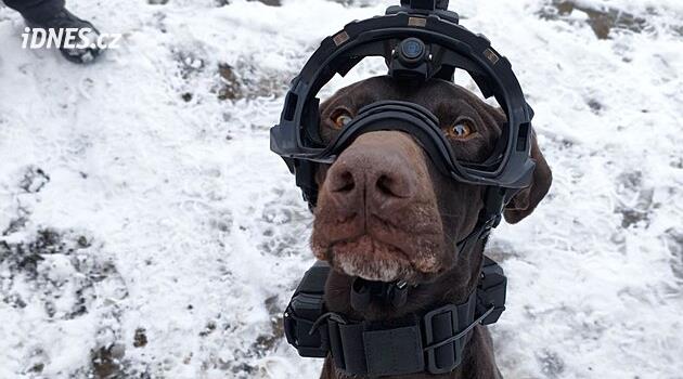 “Bak ne görüyorum.” Köpekli bir itfaiyeci özel bir kaskı kamerayla test etti