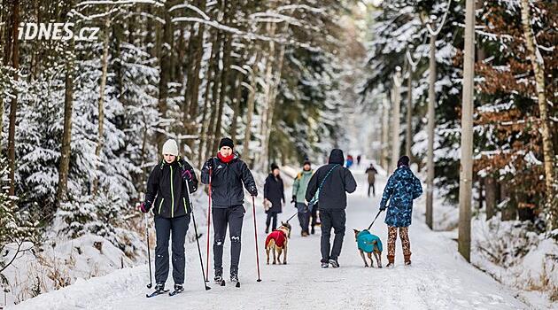 Hradec Králové'de kros parkurlarının düzenlenmesi