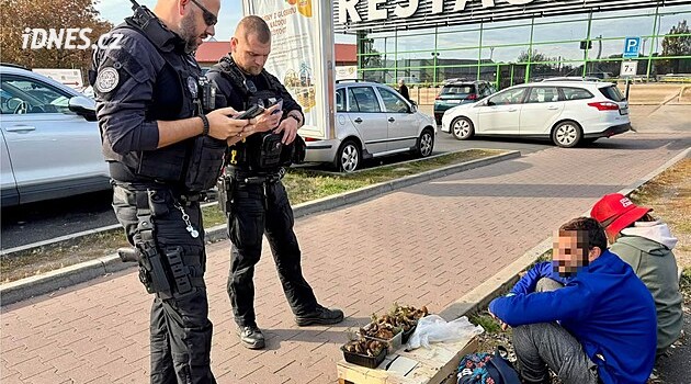 Pár prodával houby na parkovišti v Chomutově. Strážníci rázně zasáhli a vysvětlují proč