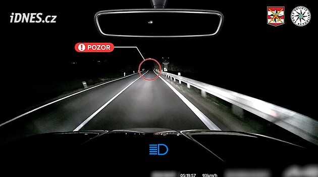 Ztlumit světla a držet směr. Policisté radí co dělat, když vám před auto vběhne srna