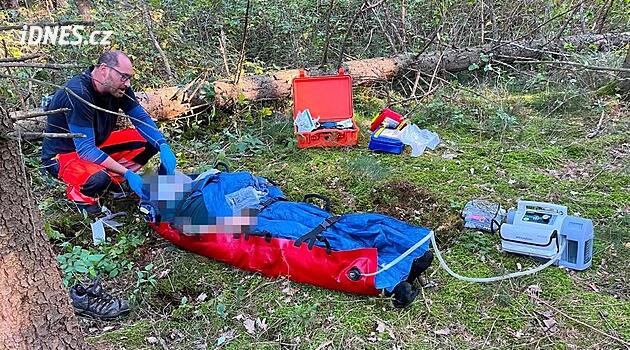 Muže při kácení na Táborsku trefil strom a vážně ho zranil, povolali i vrtulník