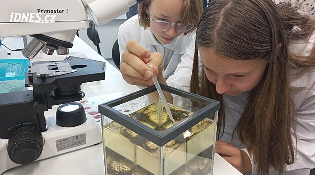 OpenLab při Biologickém centru Akademie věd v Českých Budějovicích: děti experimentují v praxi