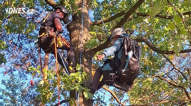 Paraglidista uvázl na stromě, z patnáctimetrové výšky ho sundávali hasiči