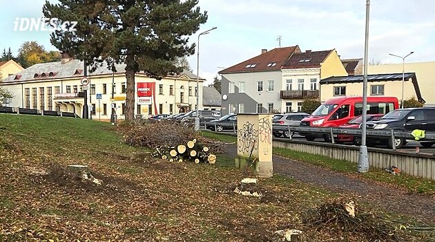 Městské stromy padly bez povolení. Místní viní market, ten se nařčení brání
