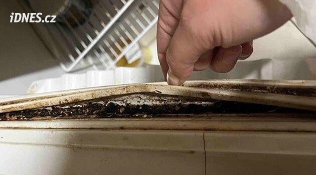 Inspekce zavřela kavárnu v Lužánkách, byla špinavá a s trusem od hlodavců
