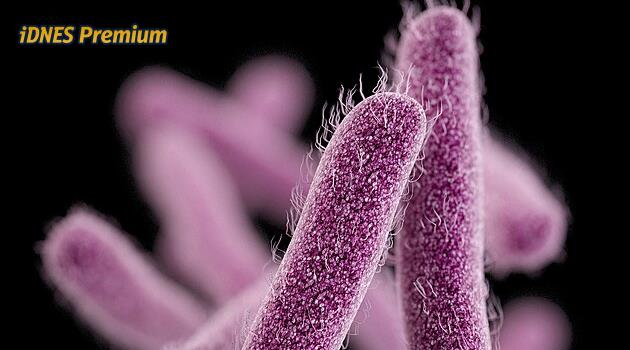 Shigella: Průjmové onemocnění se mění v pohlavně přenosnou hrozbu, antibiotika selhávají