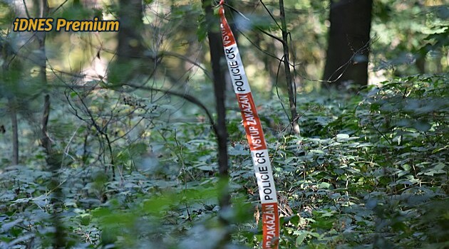 Pohřešovanou ženu z Frýdku-Místku našli mrtvou v lese, napodruhé ji objevil policejní pes
