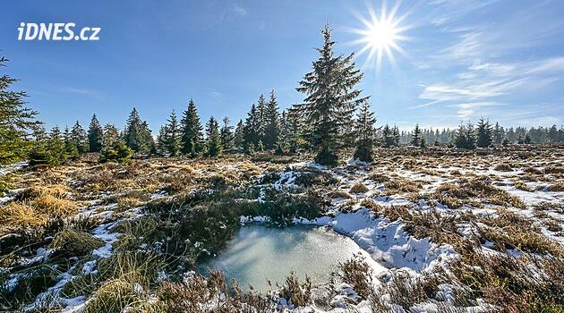 Drsné i něžné zároveň. Vydali jsme se brdskými lesy na nejvyšší vrchol Tok