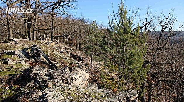 Horská atmosféra za Prahou. Vydejte se přes zimní brdské Baby i Babky