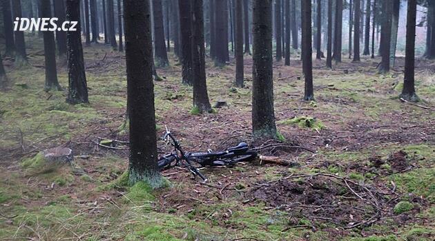 Cyklista přecenil síly na namrzlé lesní cestě, po nárazu do stromu zemřel