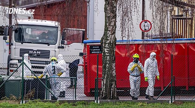 Kuş gribinin ortadan kaldırılması: Kosičky'den sonra Nové Město itfaiyecileri bekliyor