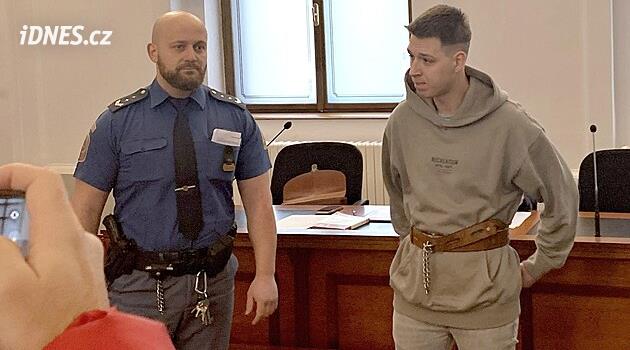 Hlasy mi řekly, ať někoho zabiju. Muž pobodal náhodnou oběť, dostal 17 let