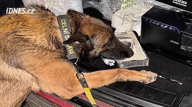 Kokain schovaný v chlebníku. Celníci na D8 náhodně zachytili kilogram drogy