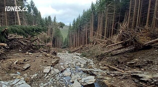 Aşırı yağmur Jeseníky'deki dağ yamaçlarını hareket ettirdi