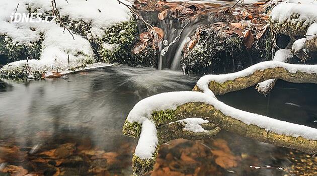 Místo, které miloval Masaryk i Gott. Za skutečnou zimou do Voděradských bučin