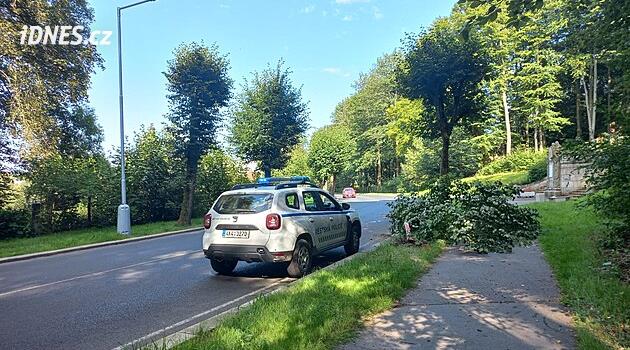 Aš'ta polisler aralıksız araç kullanıyor, çalışmaya ilgi büyük