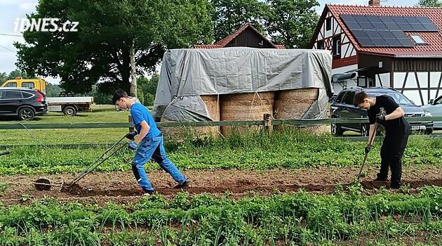 Alan öğrettiğinde. Farm Kořeny tarım dünyasını çocuklara açıyor