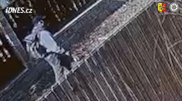 Ženu srazil na schody a ukradl jí důchod. Hledaný násilník má specifickou chůzi