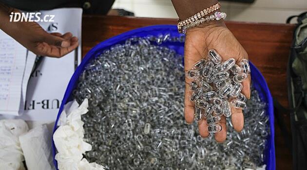 Číňan chtěl z Keni propašovat 2200 mravenců. Soud ho poslal do vězení