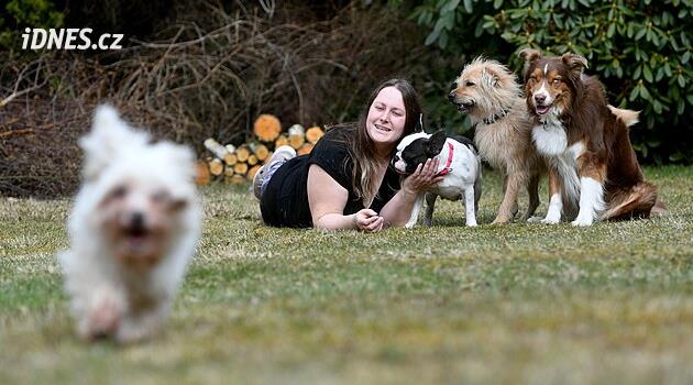 Pracuje s problémovými psy. Největší chybou je jejich polidšťování, říká žena