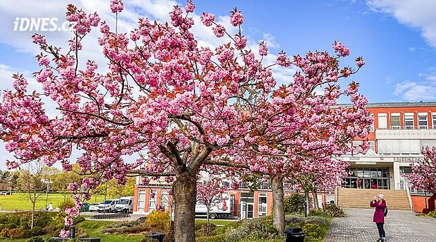 V sobotu bude skoro léto, v neděli zas zima. Mapa ukazuje velký rozdíl teplot