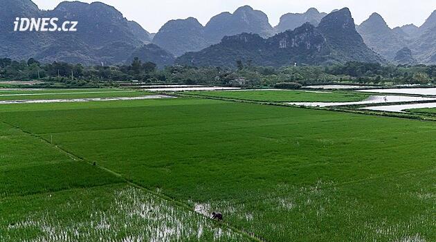 Mlýny bez elektřiny a drahá hnojiva. Válka ochromuje pěstování rýže ve Vietnamu