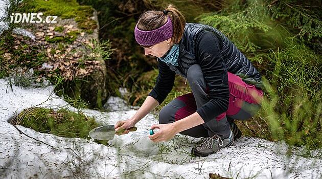 V Krkonoších „kvete“ sníh. Vzácný jev zkoumají vědci, ohrožuje ho změna klimatu