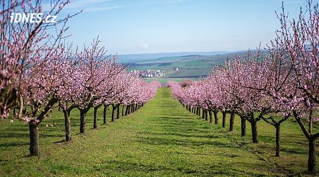 Moderní moravský venkov: Když se spojí špičkové víno, zemědělská farma a zážitky